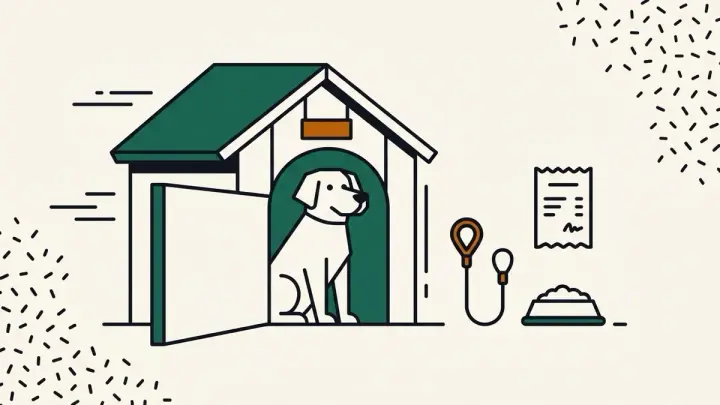 The true one-time cost of adopting a shelter dog (separate from monthly expenses)
